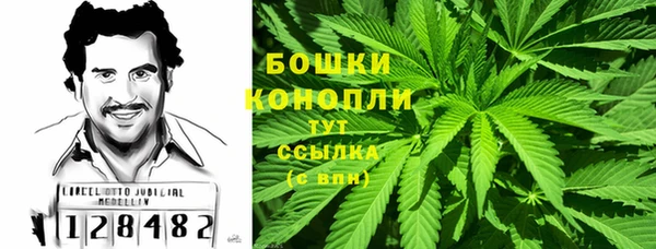 ГАЛЛЮЦИНОГЕННЫЕ ГРИБЫ Балахна